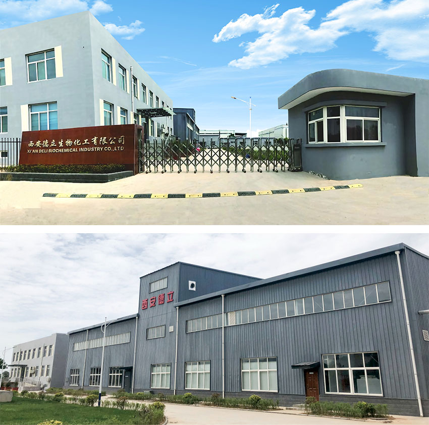 Xi'an Deli Bioquímica Indústria Co., Ltd.: Innovação líder em derivados de ciclodextrina, capacitando a indústria farmacêutica