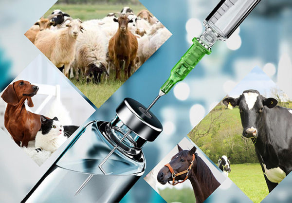 Medicamentos veterinários para melhorar com hidroxipropilada betadex